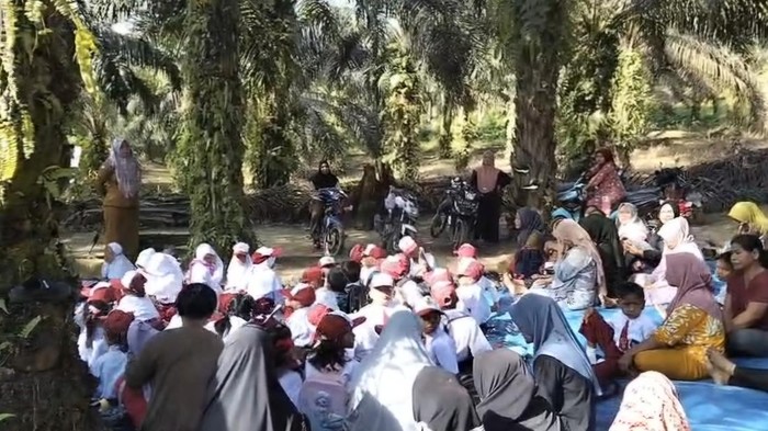 Puluhan Siswa SD Belajar di Bawah Pohon Sawit di TNTN Pelalawan