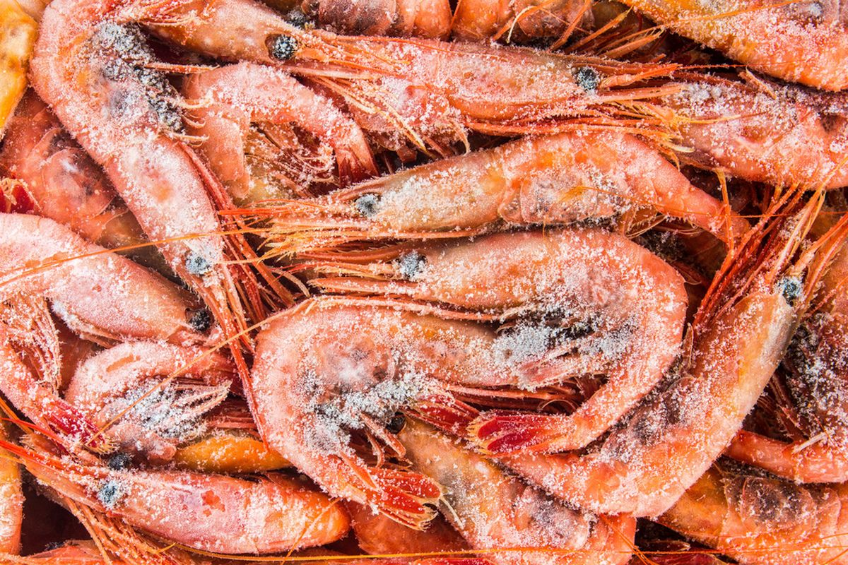 Temuan Bapeten Pabrik Udang PT BMS Terkontaminasi Cesium, Investigasi Lanjutan Dilakukan